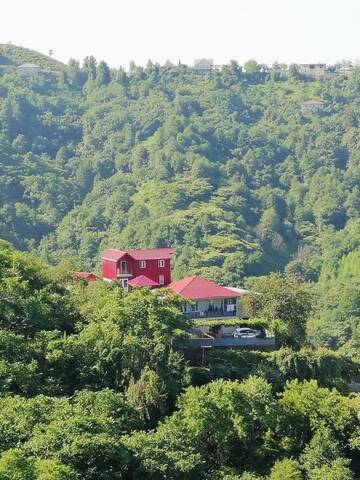 Фото Гостевой дом Zelenyy Ray Guest House г. Sharabidzeebi 1